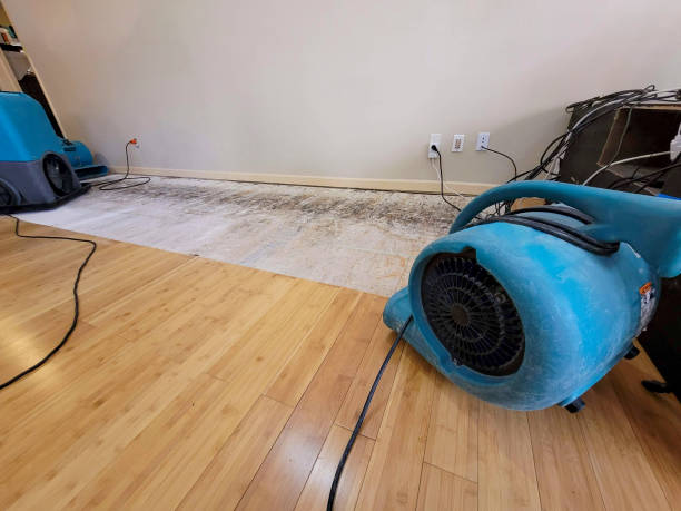 Professional Water Removal technician working in Hanover, OH